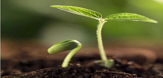 土壤污染及營養元素檢測【高朝科技】